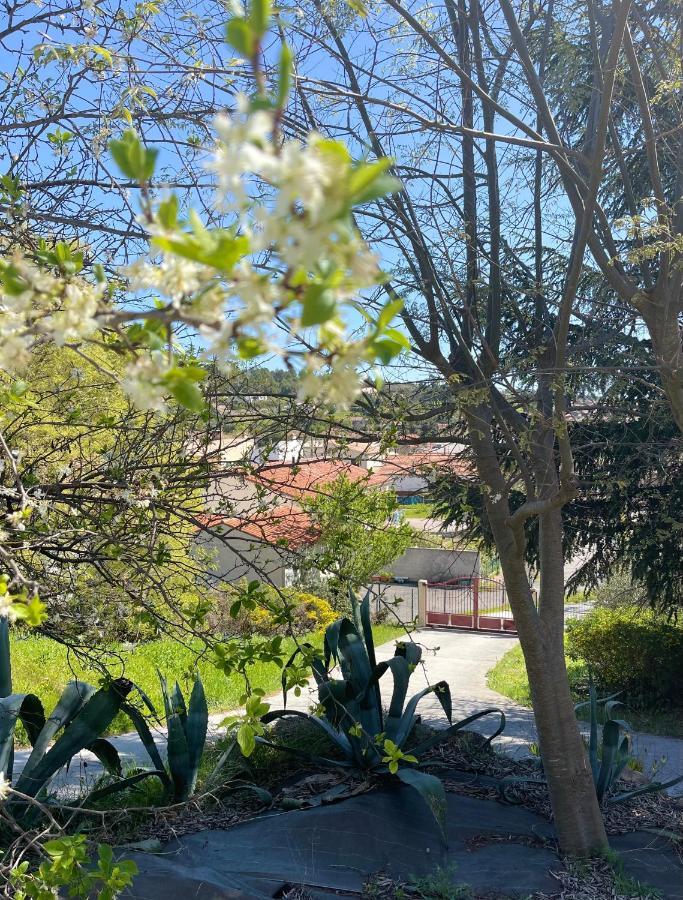 Au Perchoir Apartman Caunes-Minervois Kültér fotó