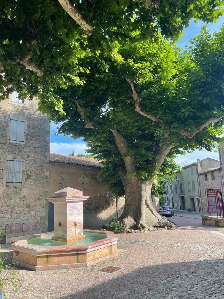 Au Perchoir Apartman Caunes-Minervois Kültér fotó